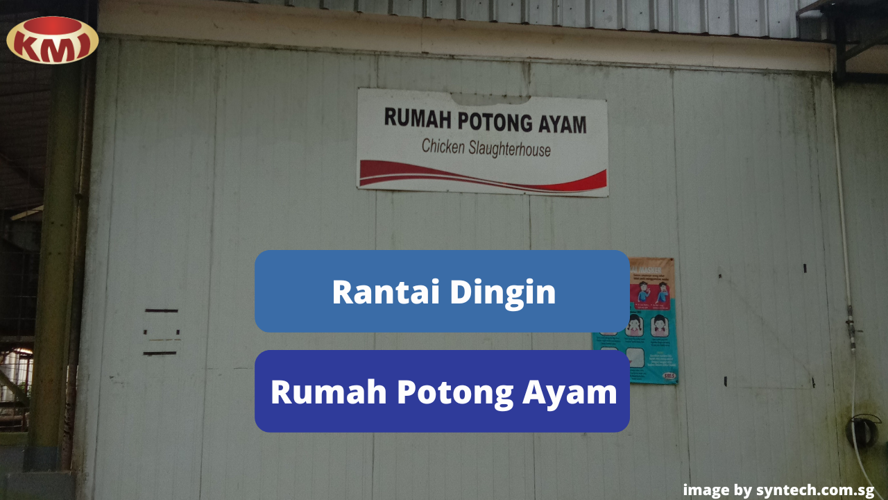 Berikut Inilah Rantai Dingin di Rumah Potong Ayam (RPA)